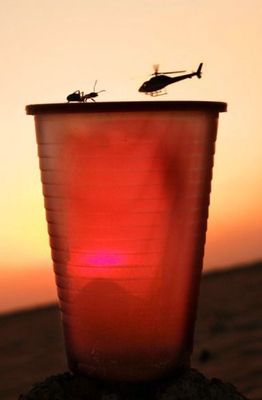 Semut versus Helikopter