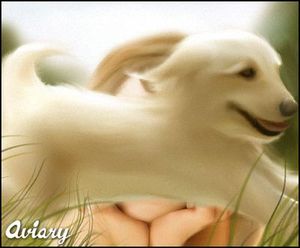 ��������ʤ鸤�������Ф�������ʤ�04
