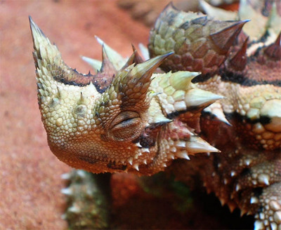 ������ȥ���11