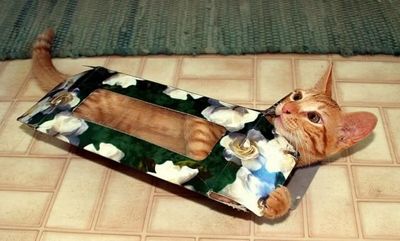 ����������ꤿ����ǭ06