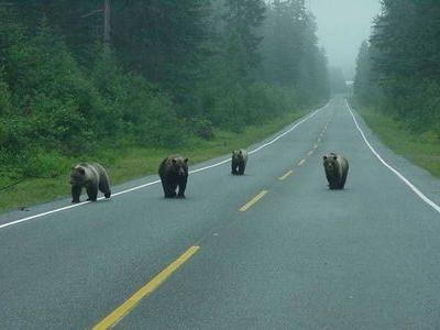 ����ͷ�Ӿ���ä���ĥ��ޤ��󤬡Ĵ���ͷ��Ǥ�TOP