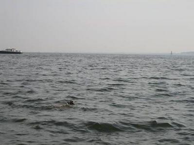 ���礤�����Ƥ��ޤä���ʪ02
