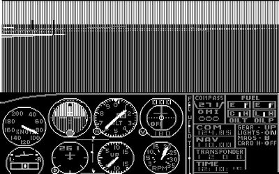 1982: Flight Simulator 1
