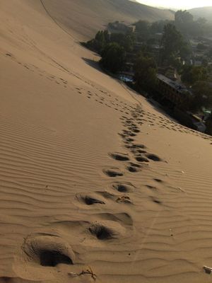 �ڥ롼�Υ�������06