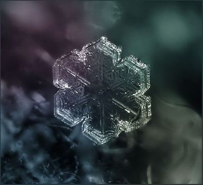 雪の結晶05