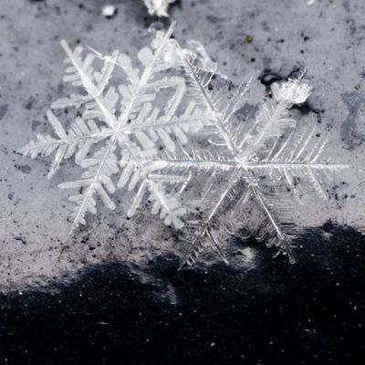 雪の結晶13