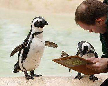 ưʪ�������ɸ��TOP