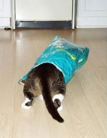 ����������ꤿ����ǭ08