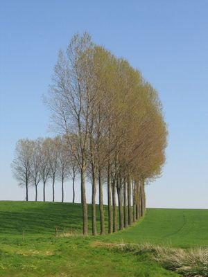 ������02