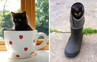 ����������ꤿ����ǭ07