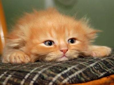 ��ǭ���񤤹ߤꤿ����