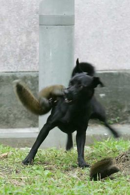 ��ꥹ��̿��ĥ�äƻҶ�������Ф��ִ�04