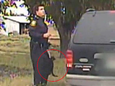 警官にまとわりついて頭の上まで乗ってくる黒猫