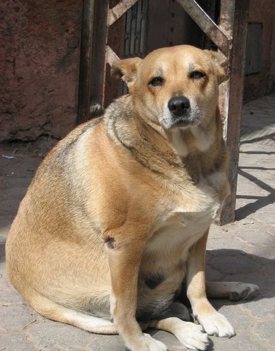 ���ꤹ���Υڥå�05