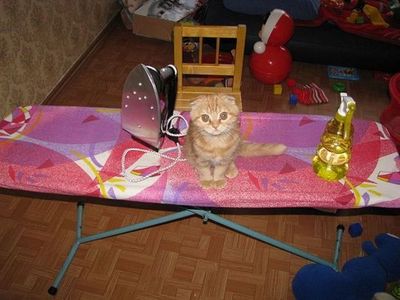 ���е��פ�ǭ09