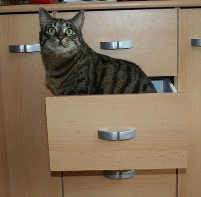 ����������ꤿ����ǭ15