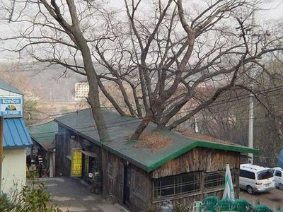 酔っ払って作ったとしか思えない建物03