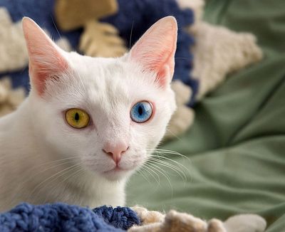 ���ФΤ褦��������������Ʒ�ο����㤦ǭ02