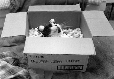 ����������ꤿ����ǭ05