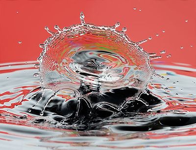 Liquid Rose