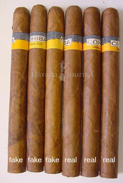 ���֥���-����մ�Cohiba(���ҡ��С�
