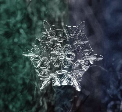 雪の結晶09