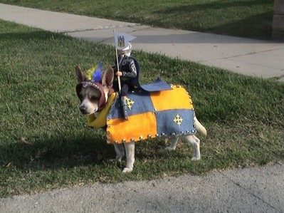 酷い犬のコスプレ06