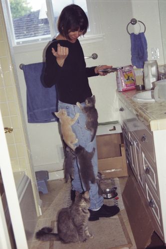 Cat Pants