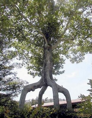 �����δ�̯����07