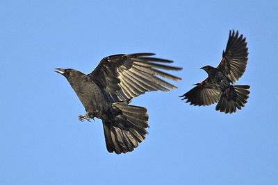 �ϥ����⥫�饹2