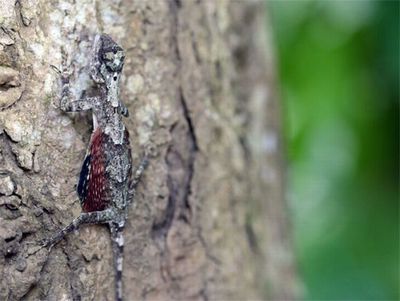 �ȥӥȥ���01