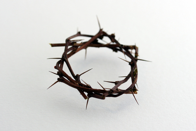 Jesus always width you.