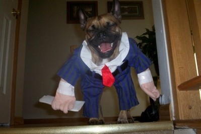 酷い犬のコスプレ07