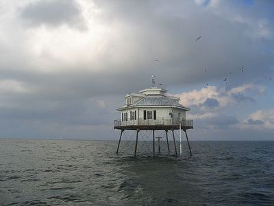 ����������-�ߥɥ�٥���Middle Bay��������ƹ��