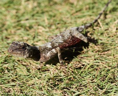 �ȥӥȥ���03