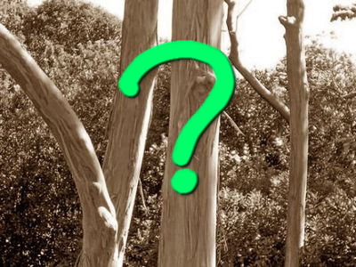 ����ե����00