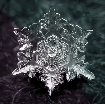 雪の結晶08