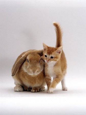 �ޤ���л�12