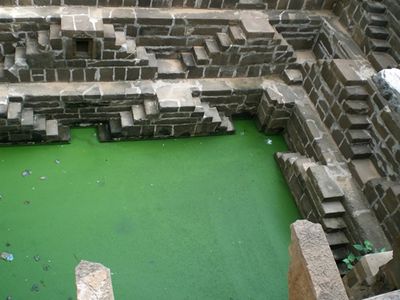 ���ʤ��餱�Υ���ɤΰ�͡�Chand Baori��03