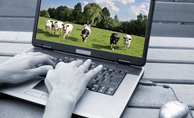 PC�鿴�Ԥ˥����꡼�󥷥�åȤ򻣤餻������ᤤ��ˡ