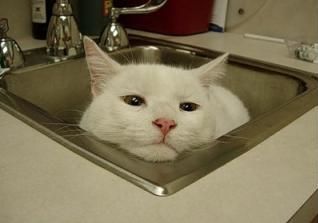 ����������ꤿ����ǭ02