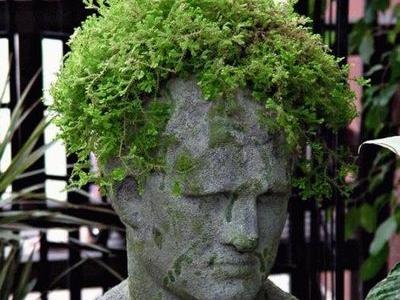 ��ȱ�����ۤ����褵�����ʿ͡�TOP