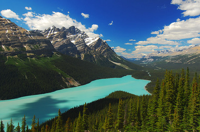 03-���ʥ������å�����̮�Υڥ��ȡ���