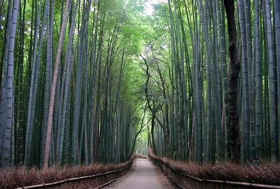 ����Ū�ʾ�ƻ04