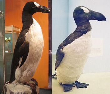 �������ߥ��饹