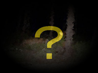 �ŰǤǤϲ����Ҥ���Ǥ��뤫�狼��ʤ�00