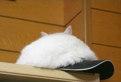 ���˵��뤳�Ȥ�ͽ�ۤĤ��ʤ��̿�04