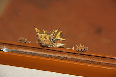 ������ȥ���08