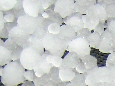 ����������롢�����ä��μ���_ice