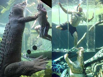 ��ˤȻ��ݣTOP
